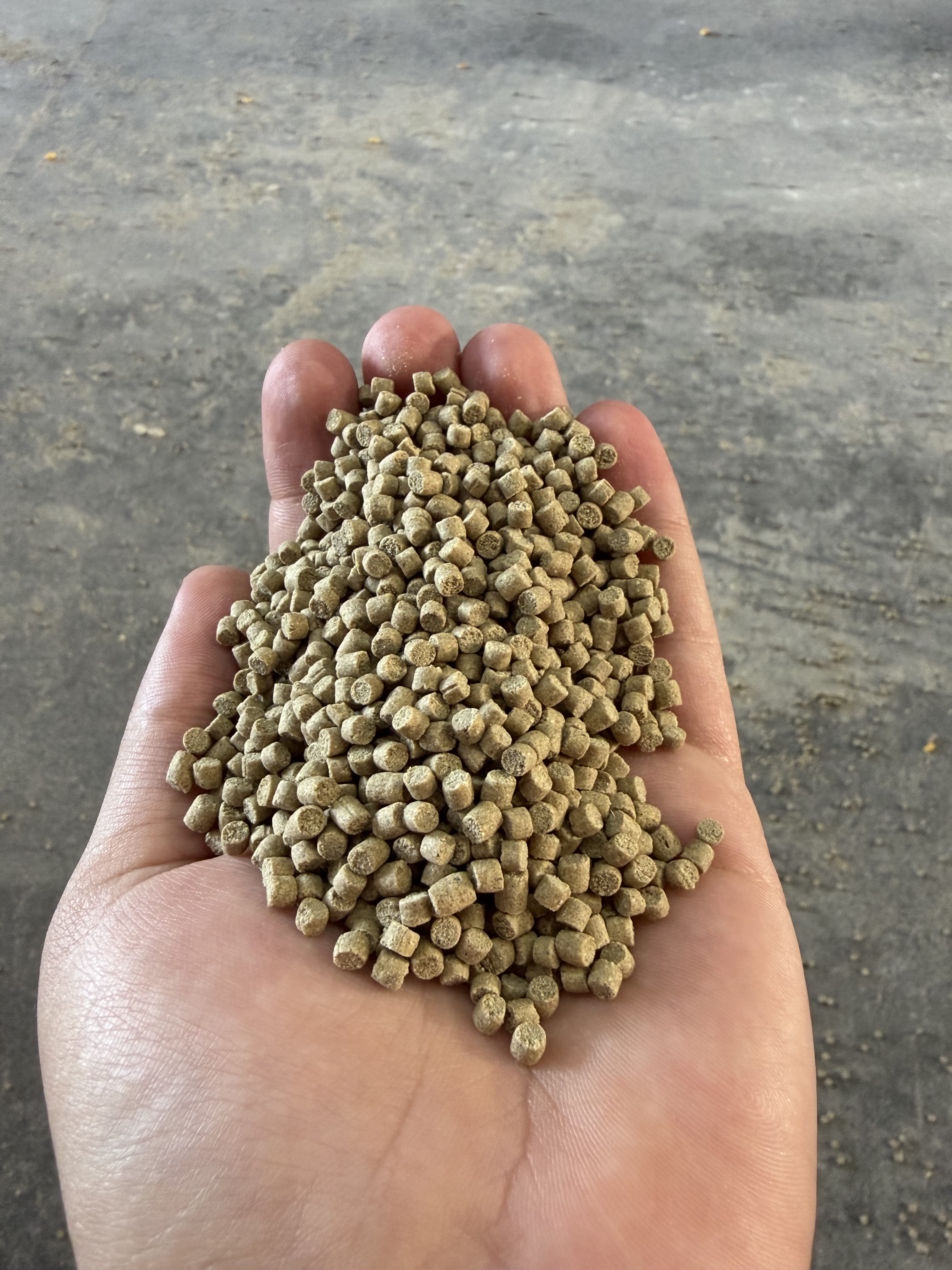 Fish feed pellets